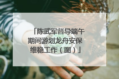 陈武军督导端午期间游划龙舟安保维稳工作（图）