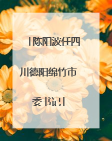 陈阳波任四川德阳绵竹市委书记