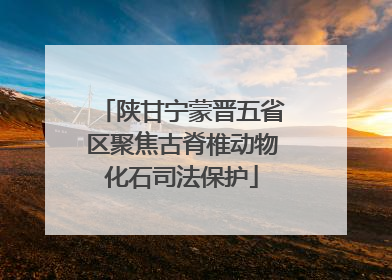 陕甘宁蒙晋五省区聚焦古脊椎动物化石司法保护