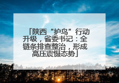 陕西“护鸟”行动升级，省委书记：全链条排查整治，形成高压震慑态势