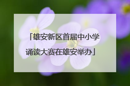 雄安新区首届中小学诵读大赛在雄安举办