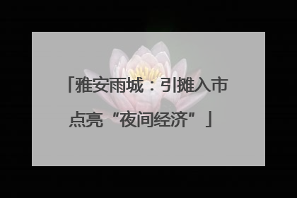雅安雨城：引摊入市 点亮“夜间经济”