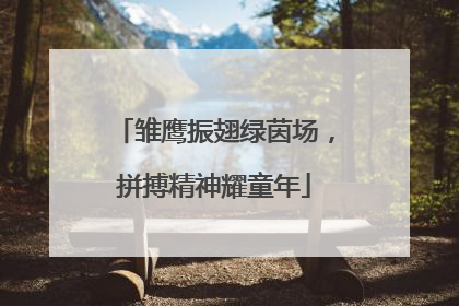 雏鹰振翅绿茵场，拼搏精神耀童年