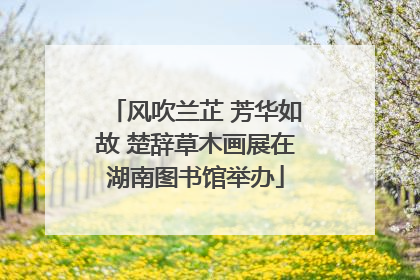 风吹兰芷 芳华如故 楚辞草木画展在湖南图书馆举办