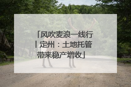 风吹麦浪一线行丨定州：土地托管带来稳产增收