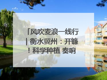 风吹麦浪一线行｜衡水冀州：开镰！科学种植 奏响丰收序曲