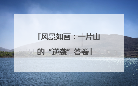 风景如画：一片山的“逆袭”答卷