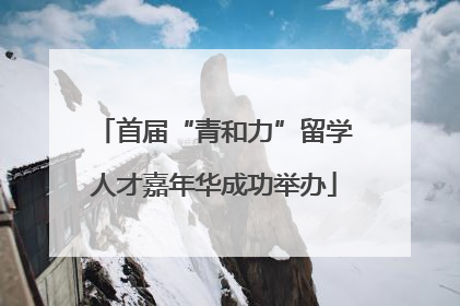 首届“青和力”留学人才嘉年华成功举办
