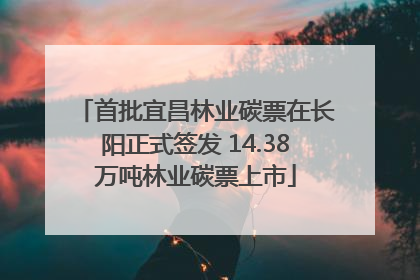 首批宜昌林业碳票在长阳正式签发 14.38万吨林业碳票上市