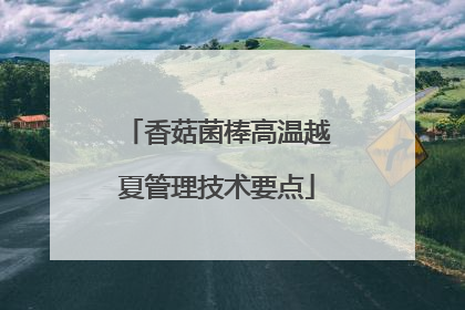 香菇菌棒高温越夏管理技术要点