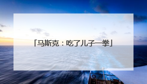马斯克：吃了儿子一拳