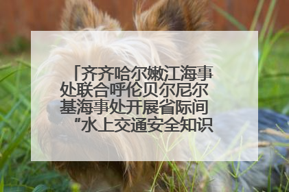 齐齐哈尔嫩江海事处联合呼伦贝尔尼尔基海事处开展省际间“水上交通安全知识进校园”活动