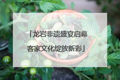 龙岩非遗盛宴启幕 客家文化绽放新彩