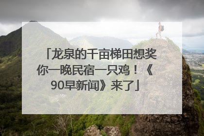 龙泉的千亩梯田想奖你一晚民宿一只鸡！《90早新闻》来了