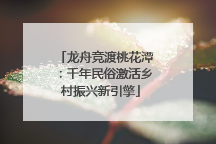 龙舟竞渡桃花潭：千年民俗激活乡村振兴新引擎