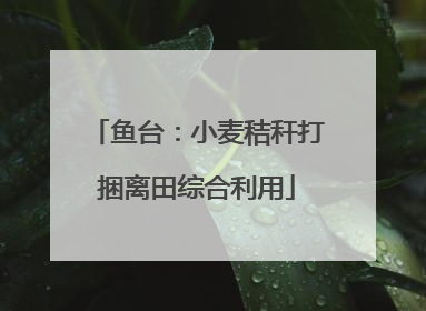 鱼台：小麦秸秆打捆离田综合利用