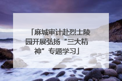 麻城审计赴烈士陵园开展弘扬“三大精神”专题学习