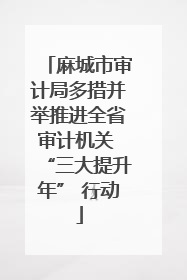 麻城市审计局多措并举推进全省审计机关 “三大提升年” 行动