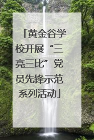 黄金谷学校开展“三亮三比”党员先锋示范系列活动