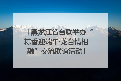 黑龙江省台联举办“粽香迎端午·龙台情相融”交流联谊活动