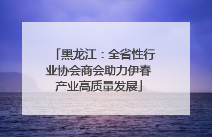 黑龙江：全省性行业协会商会助力伊春产业高质量发展