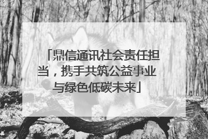 鼎信通讯社会责任担当，携手共筑公益事业与绿色低碳未来
