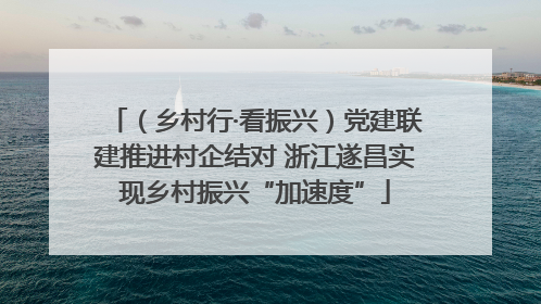 （乡村行·看振兴）党建联建推进村企结对 浙江遂昌实现乡村振兴“加速度”