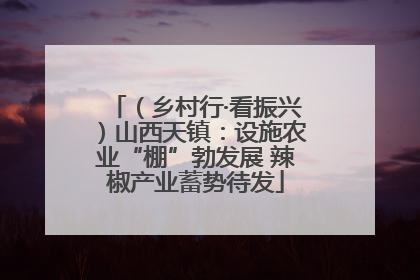 （乡村行·看振兴）山西天镇：设施农业“棚”勃发展 辣椒产业蓄势待发