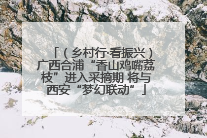 （乡村行·看振兴）广西合浦“香山鸡嘴荔枝”进入采摘期 将与西安“梦幻联动”