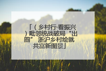 （乡村行·看振兴）毗邻统战破局“出圈” 浙沪乡村绘就共富新图景