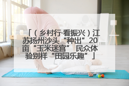 （乡村行·看振兴）江苏扬州沙头“种出”20亩“玉米迷宫” 民众体验别样“田园乐趣”