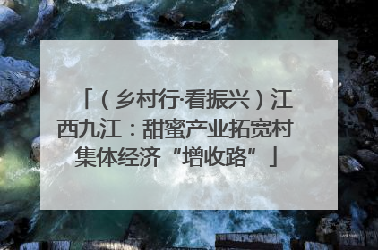 （乡村行·看振兴）江西九江：甜蜜产业拓宽村集体经济“增收路”