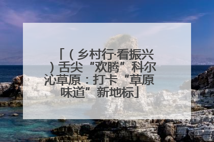 （乡村行·看振兴）舌尖“欢腾”科尔沁草原：打卡“草原味道”新地标