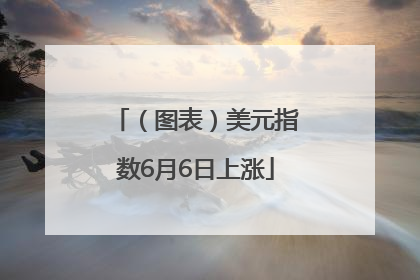 （图表）美元指数6月6日上涨