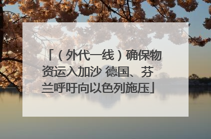 （外代一线）确保物资运入加沙 德国、芬兰呼吁向以色列施压