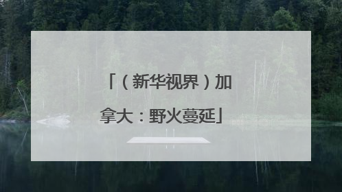 （新华视界）加拿大：野火蔓延