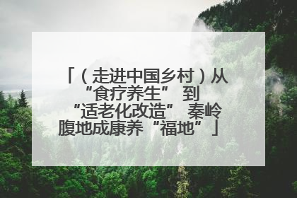 （走进中国乡村）从 “食疗养生” 到 “适老化改造” 秦岭腹地成康养“福地”