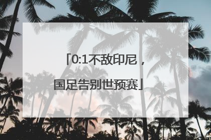 0:1不敌印尼，国足告别世预赛