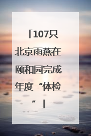 107只北京雨燕在颐和园完成年度“体检”