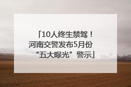 10人终生禁驾！河南交警发布5月份“五大曝光”警示