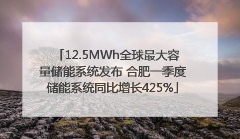 12.5MWh全球最大容量储能系统发布 合肥一季度储能系统同比增长425%