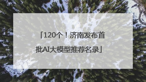 120个！济南发布首批AI大模型推荐名录
