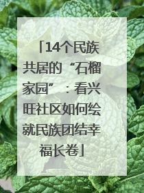 14个民族共居的“石榴家园”：看兴旺社区如何绘就民族团结幸福长卷