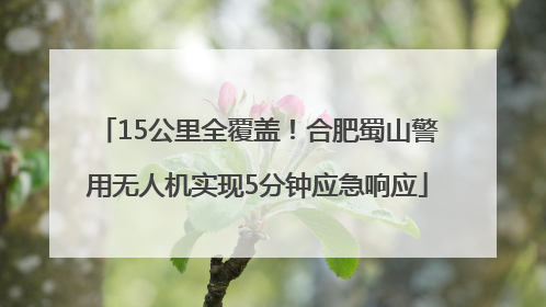 15公里全覆盖！合肥蜀山警用无人机实现5分钟应急响应