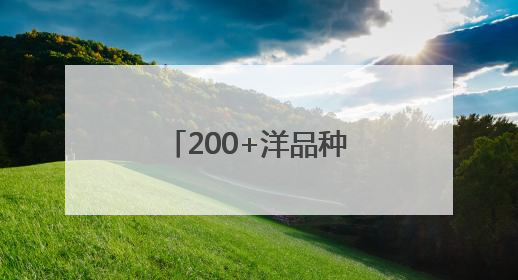 200+洋品种扎根密云，13款常年霸屏京津冀