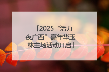 2025“活力夜广西”嘉年华玉林主场活动开启