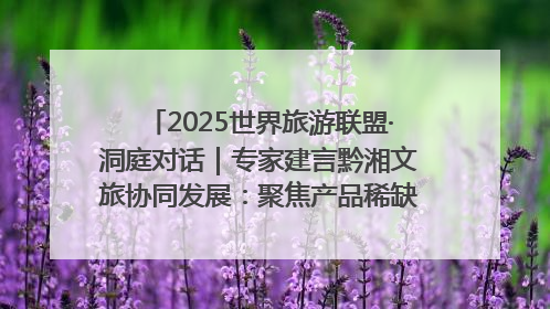 2025世界旅游联盟·洞庭对话｜专家建言黔湘文旅协同发展：聚焦产品稀缺性 深化区域经验共享
