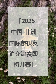 2025中国-非洲国际象棋友谊交流赛即将开赛