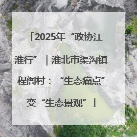 2025年“政协江淮行”｜淮北市渠沟镇程阁村：“生态痛点”变“生态景观”