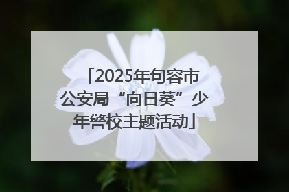 2025年句容市公安局“向日葵”少年警校主题活动